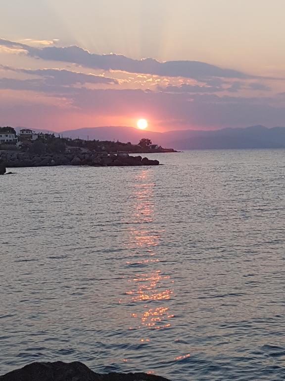 Pansion Marousa Méthana Kültér fotó